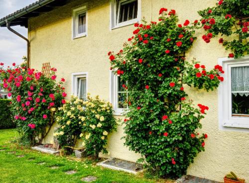 Prestige-Apartment-Chiemsee in Prien am Chiemsee, Deutschland