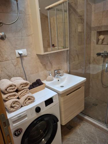 House 23 B2 - image 5