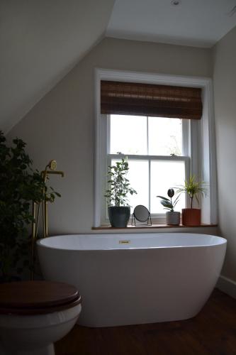 Chapel Cottage- Coastal Somerset Retreat in Williton