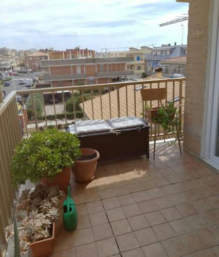 FronteMare, Ladispoli (Foto 3)