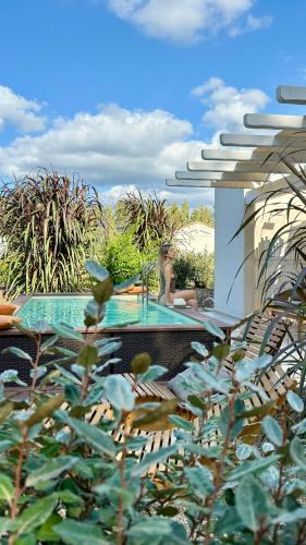 Book the Suite with Private Pool Suite with Private Pool