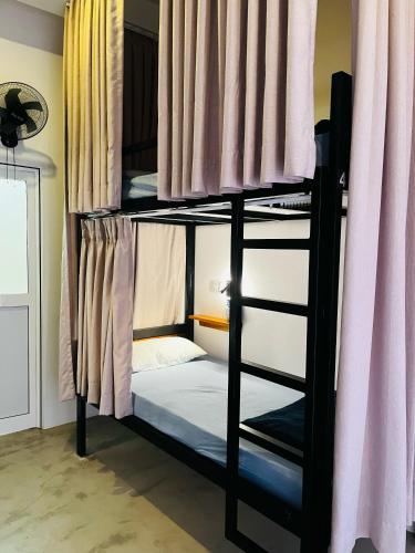 4-Bed Female Dormitory Room image 1