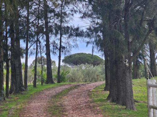 Belcharto Accommodation - main image