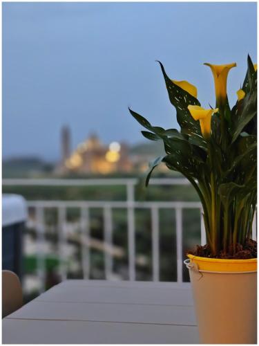 Veduta Ta Pinu Apartments with Stunning Views Garden Sauna Pool and Gym Veduta Ta Pinu Apartments with Stunning Views Garden Sauna Pool and Gym