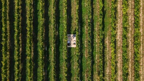 Natiia Wine Relais (+14)