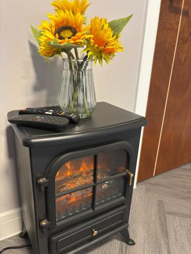 The Drey in Alderney