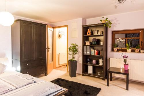 Idyllische Ferienwohnung am Pillnitzer Schlosspark, Drážďany (fotografie 2)