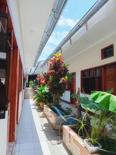 Kert, Tengana Hospedaje y Tours in Tarapoto