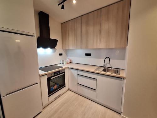One-Bedroom Apartment image 7
