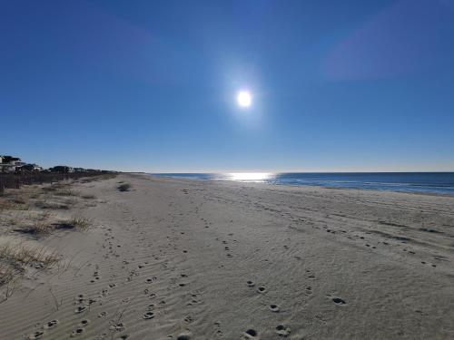 Family & Pet Friendly Beach Home Main Floor Only