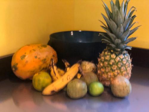 Stunning Jungle Refuge Close to Town