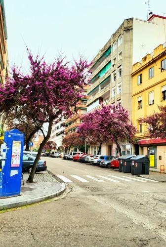 Vintage apartment climatizado, Córdoba (foto 11)