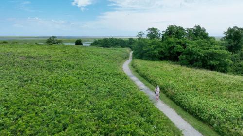 Comfort Mins from Nauset Light Beach Comfort Mins from Nauset Light Beach