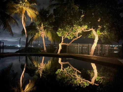 Windancer Beachfront Villa in Las Picuas