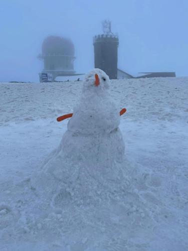 Estrela da Montanha Estrela da Montanha