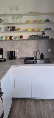 廚房, NEU "RELAX"1-Zimmer Apartment mit eigenem Stellplatz in 巴特腓特烈斯哈爾