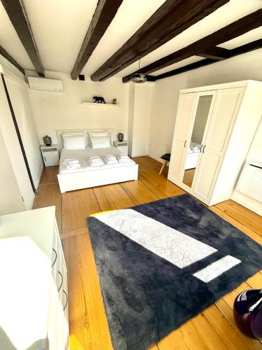 Duplex Le Léonor, Strasburgo (foto 6)