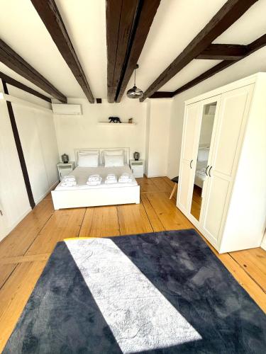 Duplex Le Léonor, Strasburgo (foto 7)