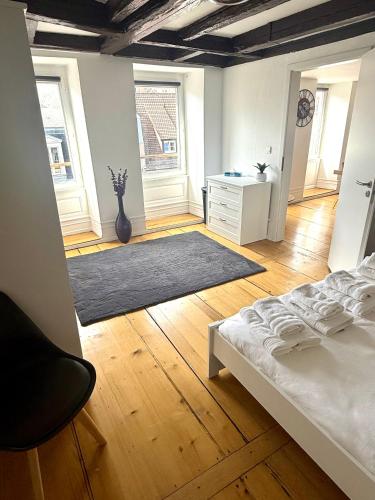 Duplex Le Léonor, Strasburgo (foto 9)