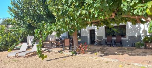 A Country and Vineyard Retreat in Sant Martí Sarroca