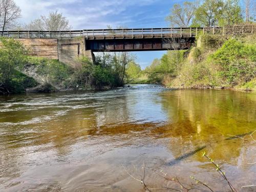 8 Acres on Betsie River River front Trails Disc golf in Thompsonville, USA