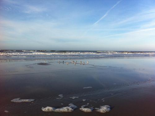 B&B Vloedlijn Texel - image 11