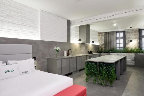 Loft Premium room in David Hotel