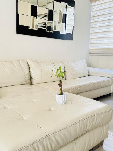 Luxury apartment, 5 minutes Miraflores & Barranco