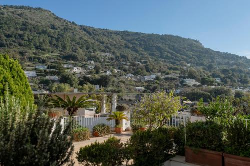Hotel Senaria - image 2