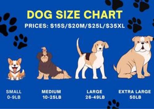 Vibrant Vegas Getaway w Pool Close to the Strip