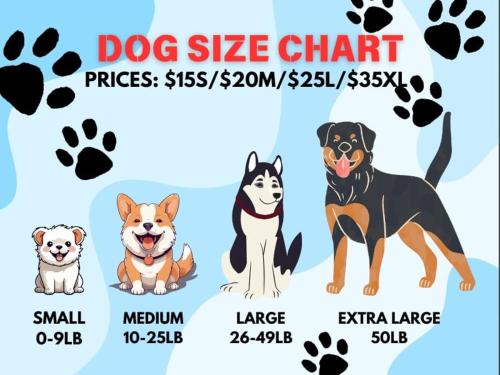 Luxury Meets Vegas Gorgeous Home by the Strip