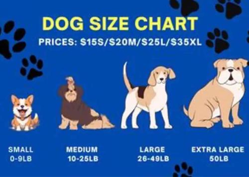 Vegas Unit A Charm to Remember