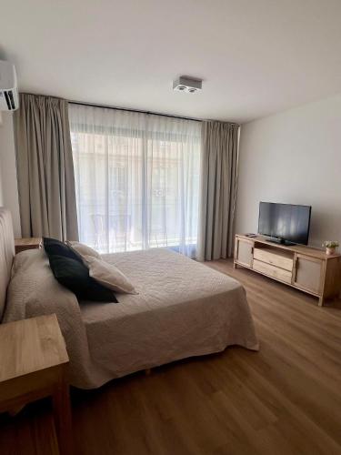 One-Bedroom Apartment room in Ocio Beruti