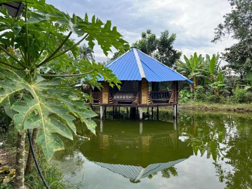 Viesnīcas āriene, Hostal Ariantiy in Mocoa