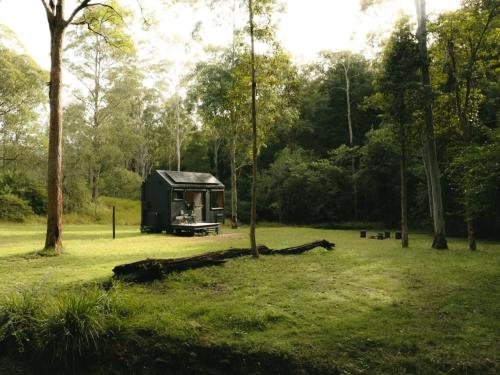 . Unyoked Dungog - Hunter Region - Jazz