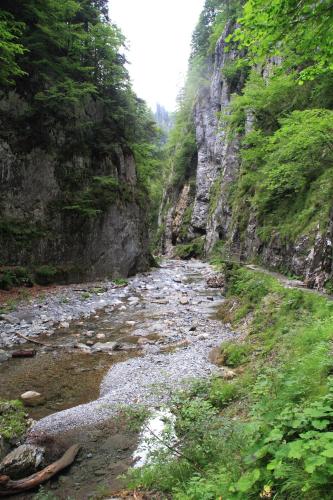 Alpenhof Strenge - image 4