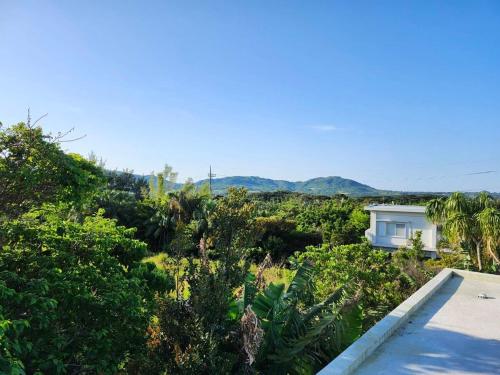 しまあさな Private Yoga Retreat 一日一組限定 ルーフトップヨガつき English Available