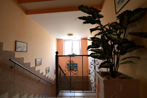 Electra Hotel Piraeus - image 7