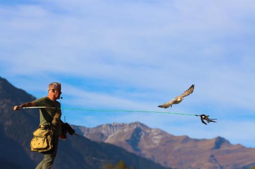 Hotel Panorama - image 6