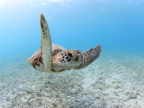 Tokashiku Marine Villege