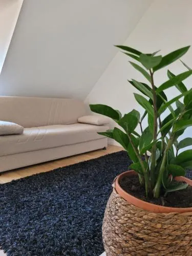 Ferienwohnung Hausnummer 1, Kontaktloser Self check-in in Zweibrücken, Deutschland
