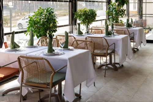 Restaurant, Nafta Sanatorium in Naftalan