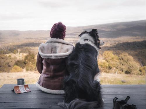 Designer Off-Grid Cabin Retreat by Famous Startup - Frankie in Mūnambela