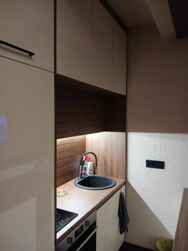 One-Bedroom Apartment image 8