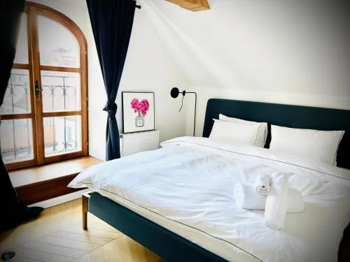 Steyr Old Town Loft - A charming 3 Bedroom Oasis in Steyr, Österreich