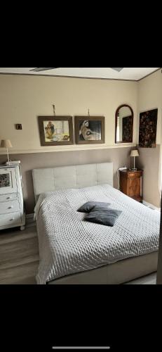 Aquarius Room Type - Double Room with Private Bathroom