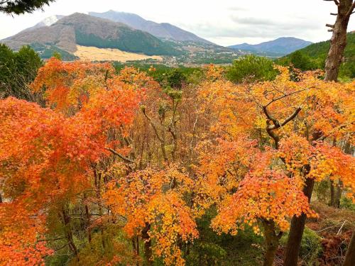 美術の宿 箱根もみじの森, Hakone (fotografie 10)