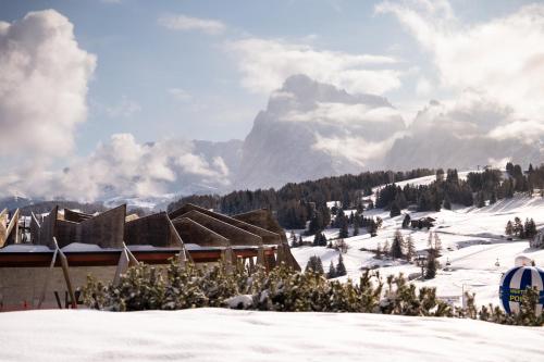 Alpina Dolomites - image 12