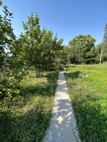 Green Forest guest house in Talas