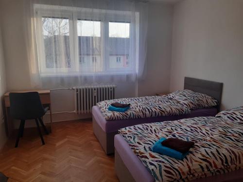 Apartman Mirova in Nove Mesto Na Morave